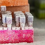 Правительство предложило ограничить передачу генетических данных россиян за рубеж