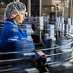 Продажи алкоголя в России за январь–ноябрь сократились почти на 10%