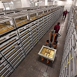 Банк России зафиксировал рекордную цену золота за грамм с 1997 года