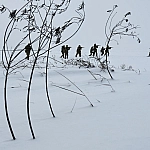 ВСУ перебрасывают пограничников под Харьков из-за нехватки бойцов