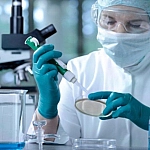 В Сеченовском университете разрабатывают клеточный препарат против устойчивых форм меланомы