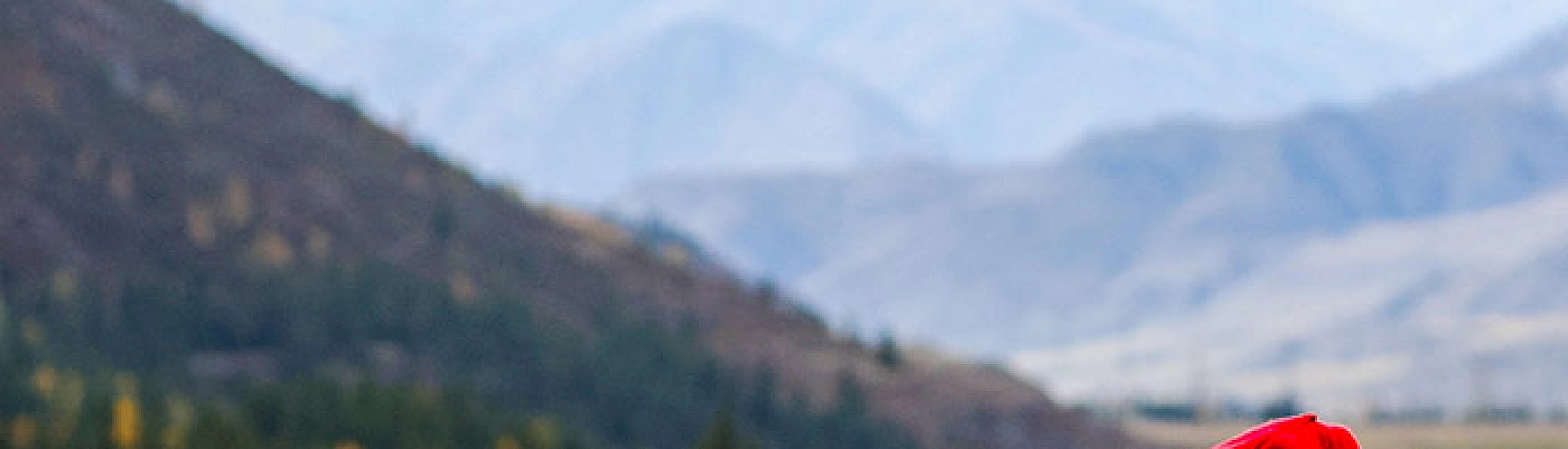 Минфин предложил создать новую игорную зону в Республике Алтай