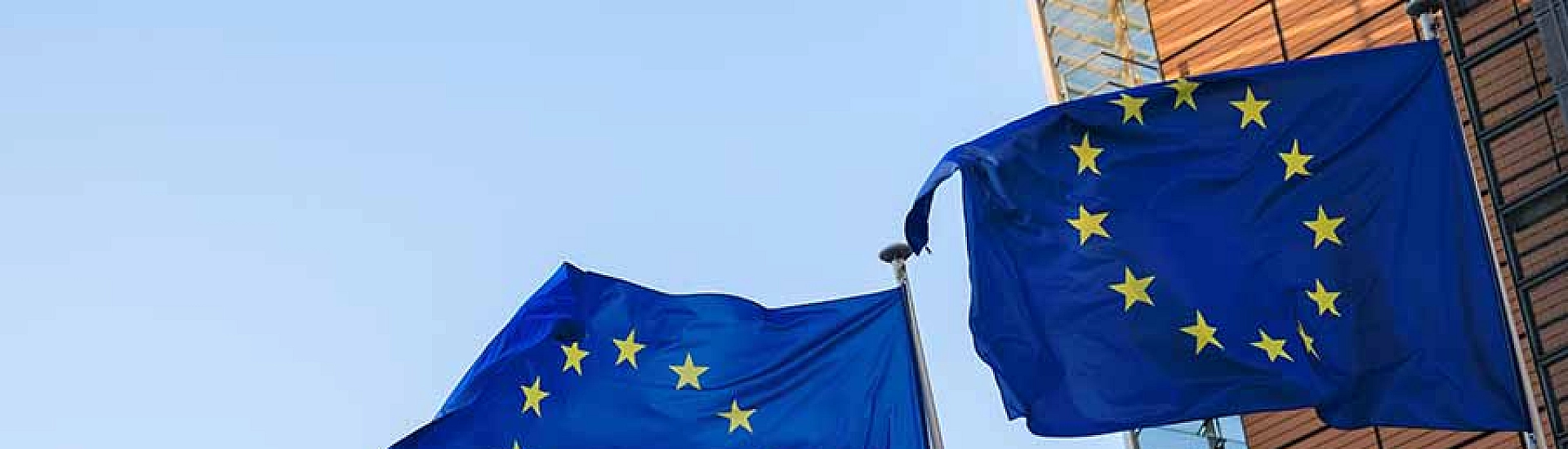 СВР: европейские эксперты предупреждают о крахе проекта «Антироссия» и военном поражении Киева