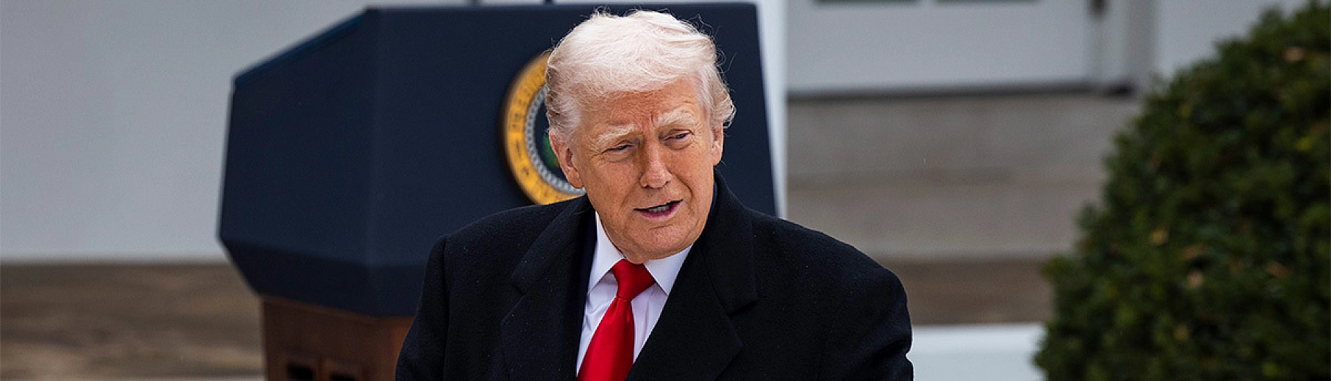 Трамп пообещал «постоянную паузу» миграции из стран третьего мира