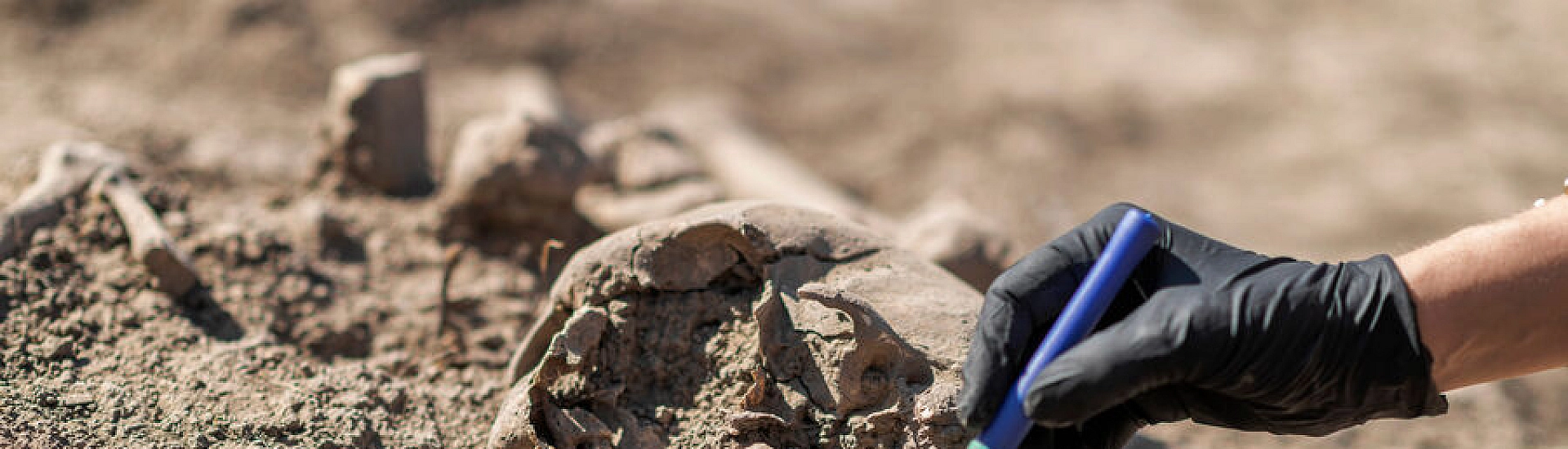 В Египте обнаружили остатки храма Солнца фараона Ниусерре