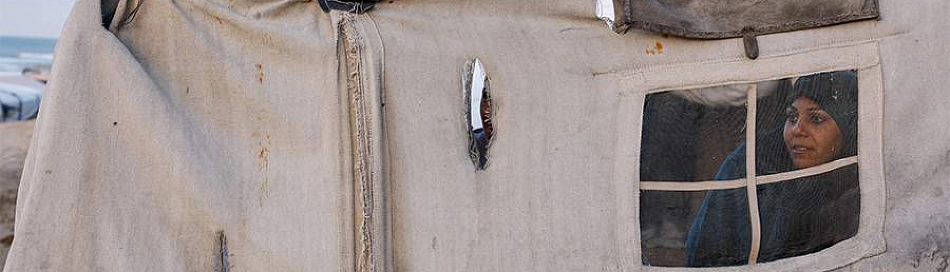 Президент ОАЭ согласился войти в «Совет мира» Трампа по Газе