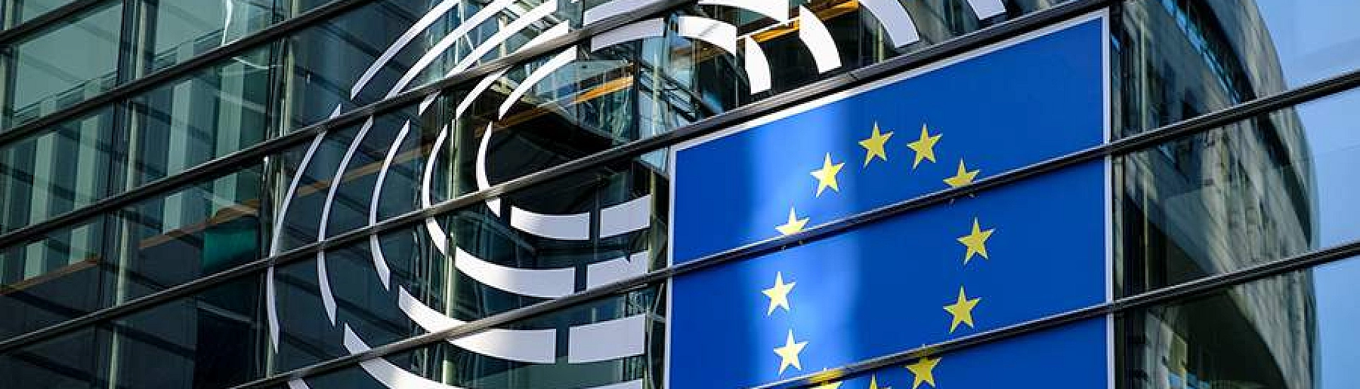 Политолог заявил о болезненном осознании ЕС утраты самостоятельности