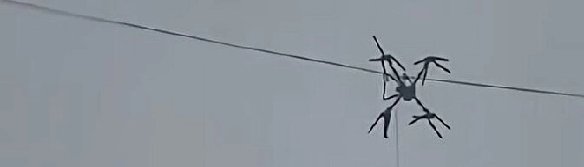 Фермер в Китае обесточил деревню, пытаясь перевезти свинью с помощью дрона