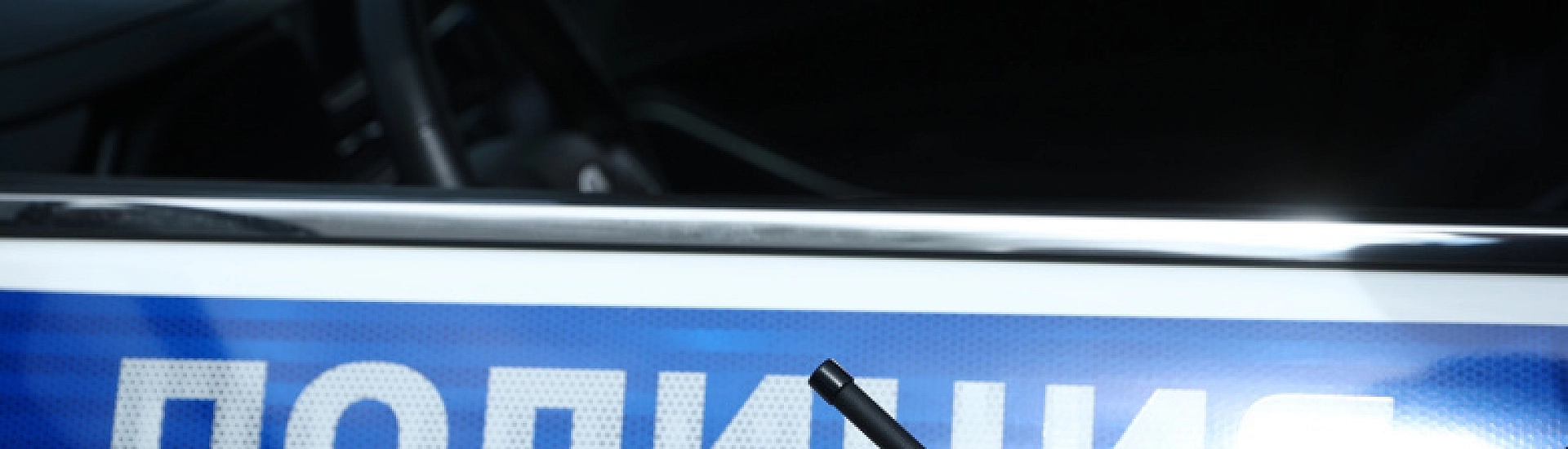 МВД объявило в розыск Зинаиду Серебрицкую по делу о покушении на генерала Алексеева