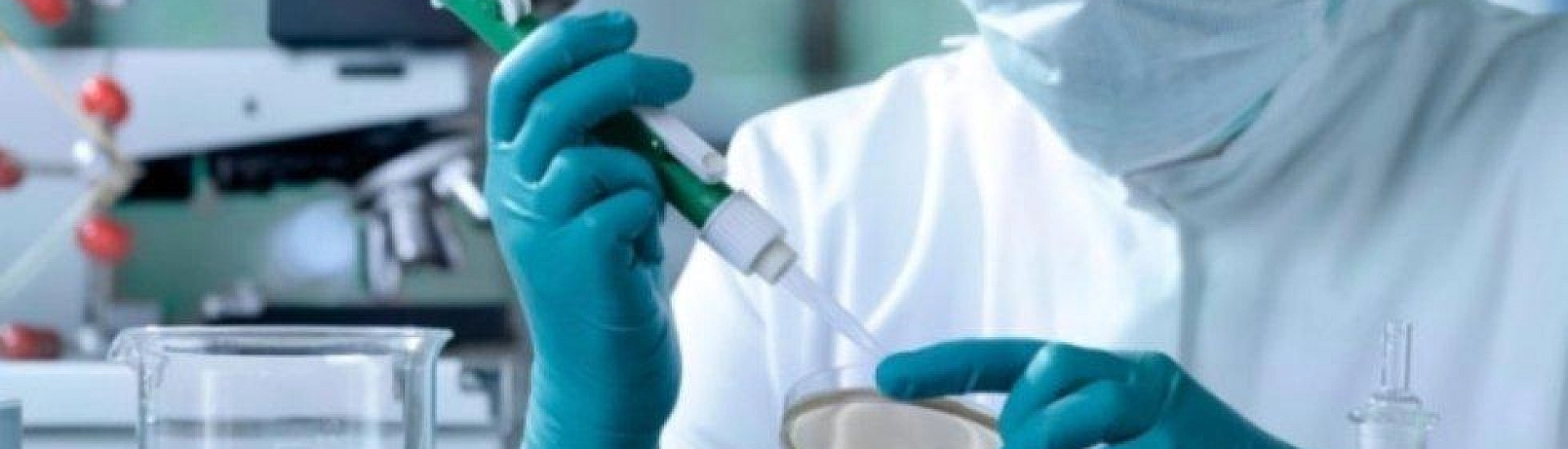 В Сеченовском университете разрабатывают клеточный препарат против устойчивых форм меланомы