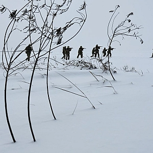 ВСУ перебрасывают пограничников под Харьков из-за нехватки бойцов